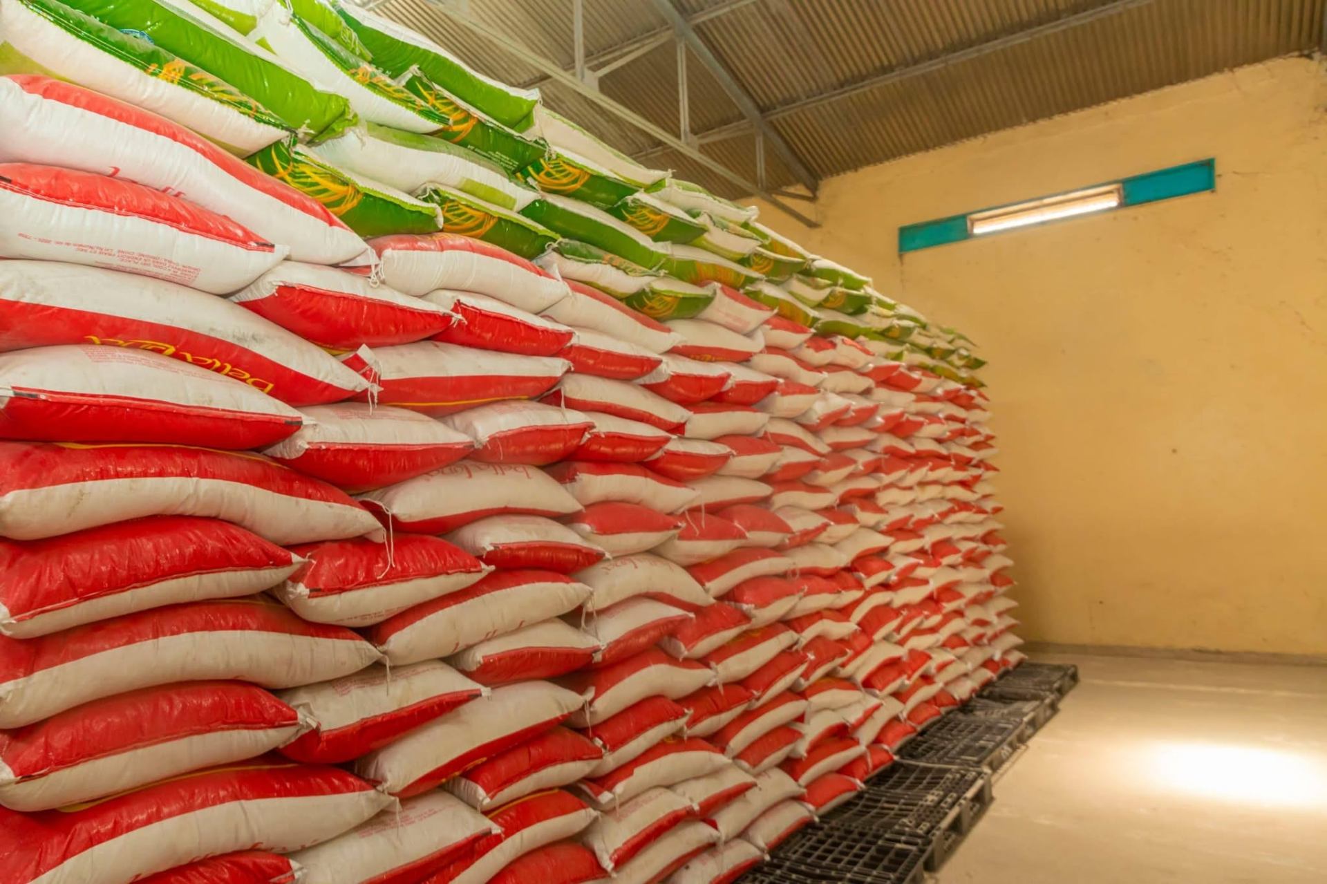 Entrepôt de l'Office avec des sacs de céréales empilés jusqu'au plafond